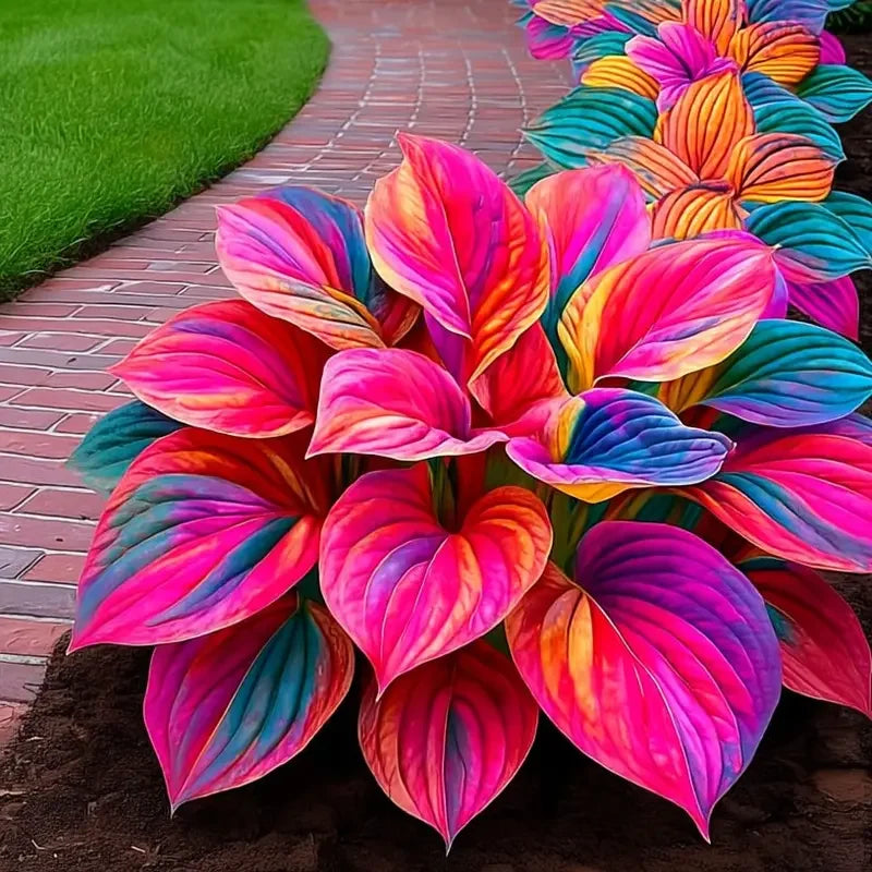 /69cce4b629c6cf0009e149d5/2026/04/14/product-img-69ddee10f707c0639afa4aa6.png